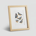Framed Giclée Art Print "Nuthatches"