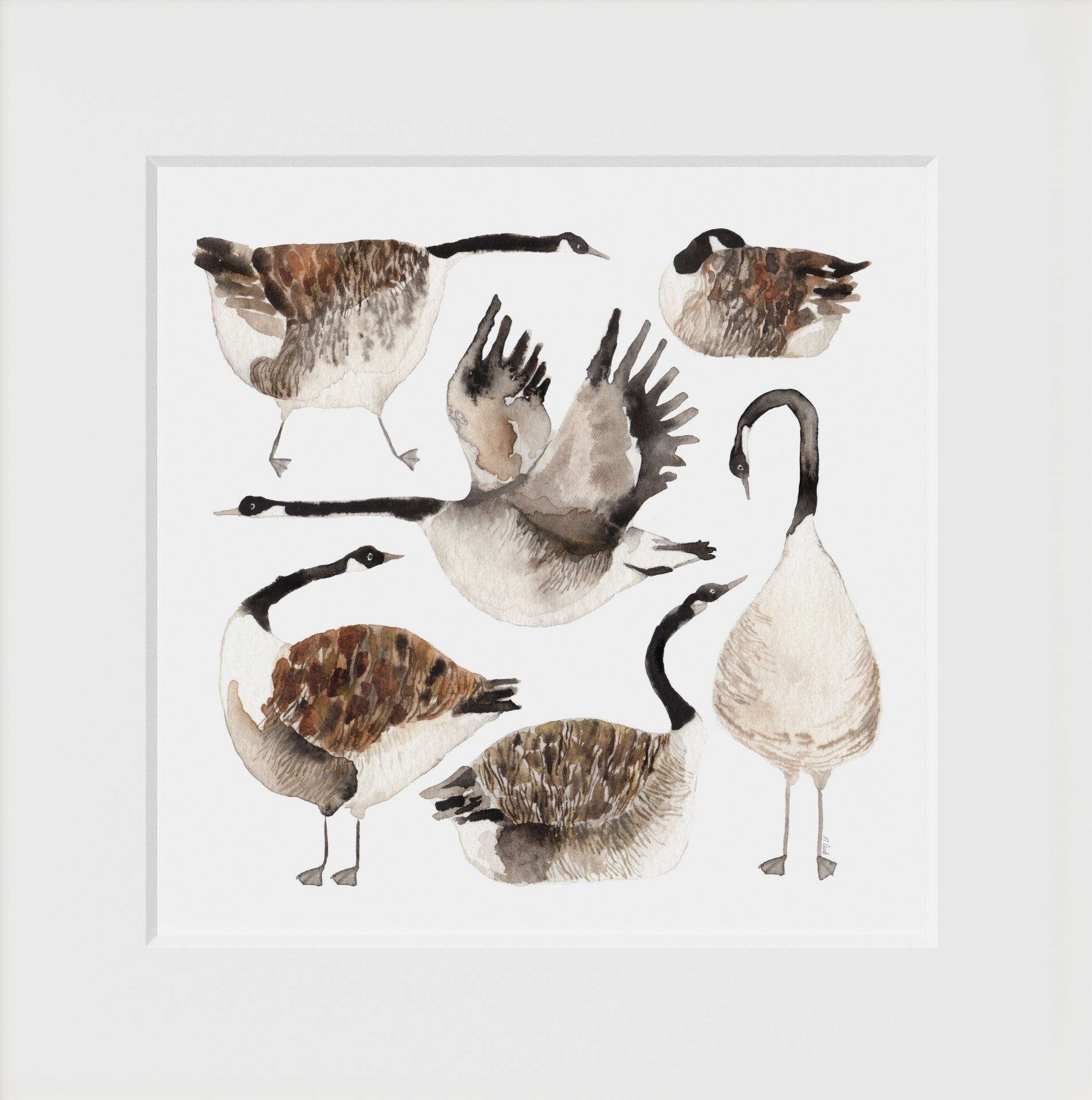 Framed Giclée Art Print "Canada Geese"