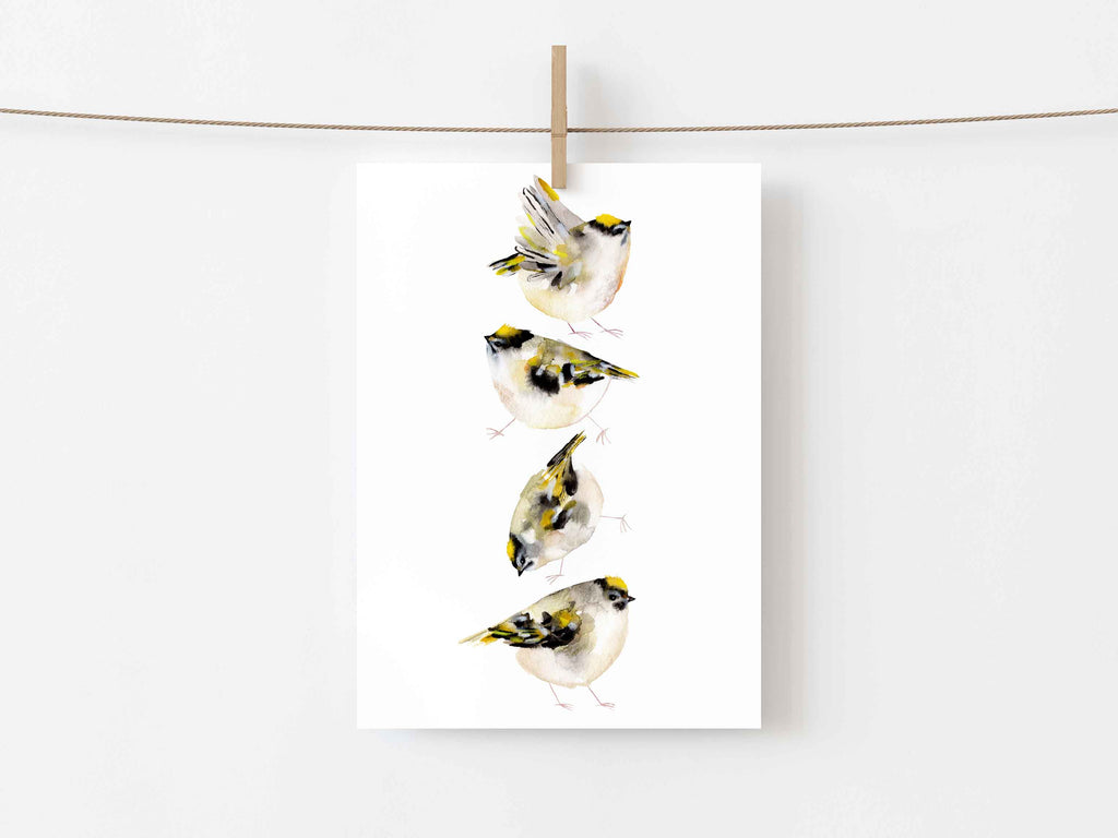 Small Art Print "Golden-Crowned Kinglets" Open Edition