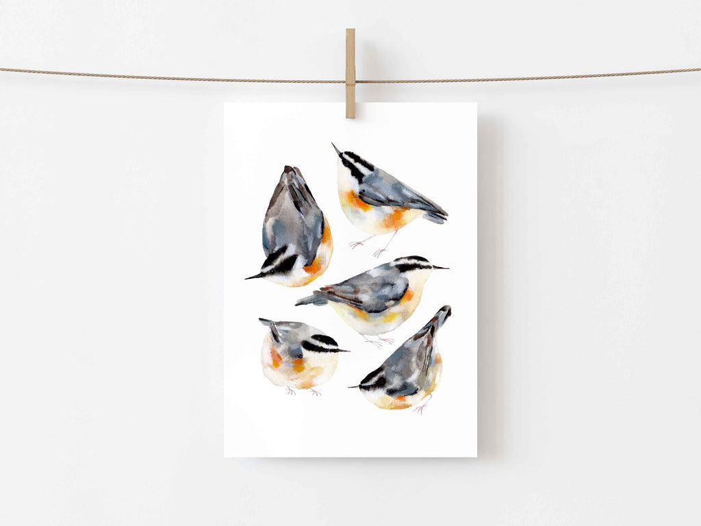 Small Art Print "Red-Breasted Nuthatches" Open Edition
